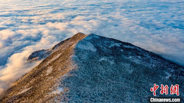 圖為朱雀國家森林公園內(nèi)初冬雪景?！≈烊竾疑止珗@供圖