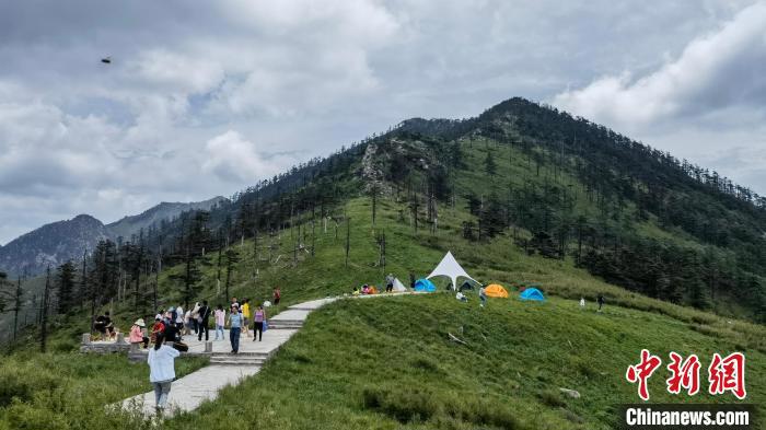 圖為游人在秦嶺山間踏青?！≈烊竾疑止珗@供圖