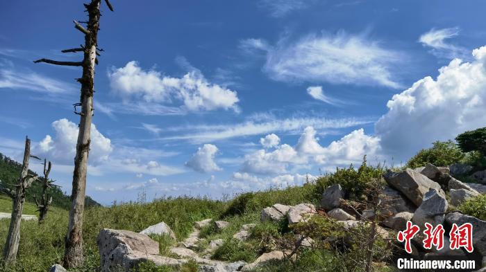 圖為秦嶺山間一景?！≈烊竾疑止珗@供圖