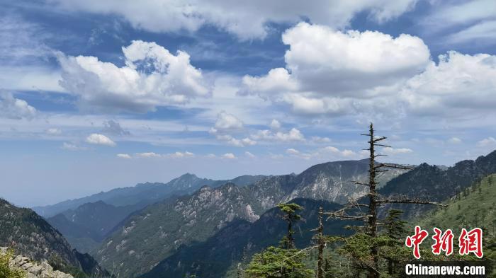 圖為綿延的秦嶺山巒?！≈烊竾疑止珗@供圖