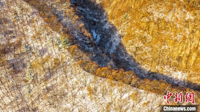 圖為秦嶺山間?！√絿疑止珗@供圖