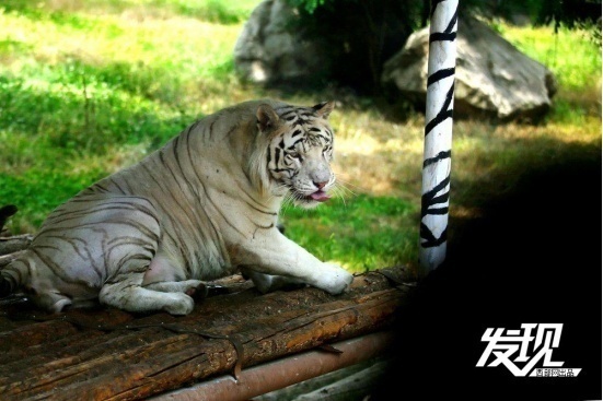 1716350107746367.png?x-oss-process=style/w10 image.png?x-oss-process=style/w10