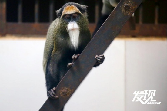 1716350062317154.png?x-oss-process=style/w10 image.png?x-oss-process=style/w10