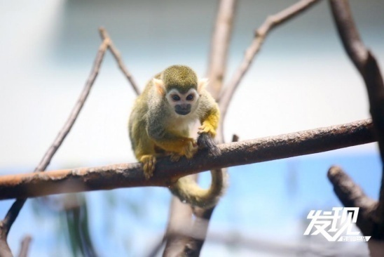 1716350116258454.png?x-oss-process=style/w10 image.png?x-oss-process=style/w10